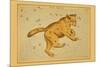 Ursa Major-Aspin Jehosaphat-Mounted Art Print