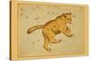 Ursa Major-Aspin Jehosaphat-Stretched Canvas