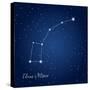 Ursa Minor Constellation at Starry Night Sky-Kgkarolina-Stretched Canvas