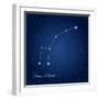 Ursa Minor Constellation at Starry Night Sky-Kgkarolina-Framed Photographic Print