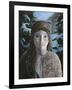 Ursa Minor-Jamin Still-Framed Premium Giclee Print