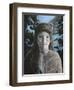 Ursa Minor-Jamin Still-Framed Giclee Print