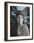 Ursa Minor-Jamin Still-Framed Giclee Print