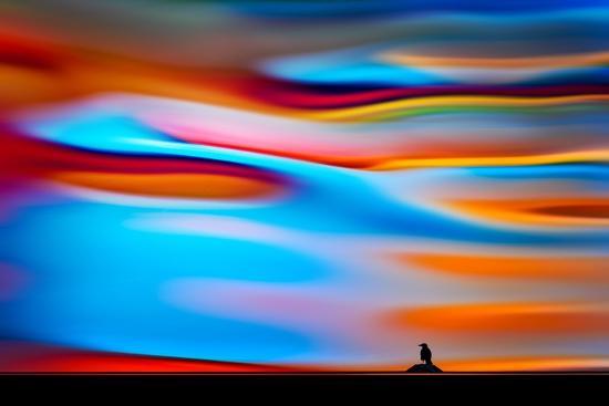 Photographic Print, , large