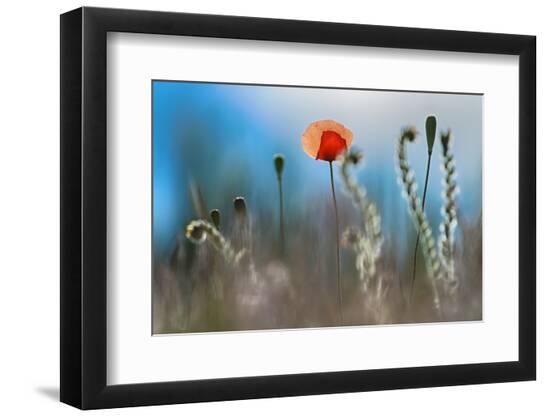Photographic Print, , large
