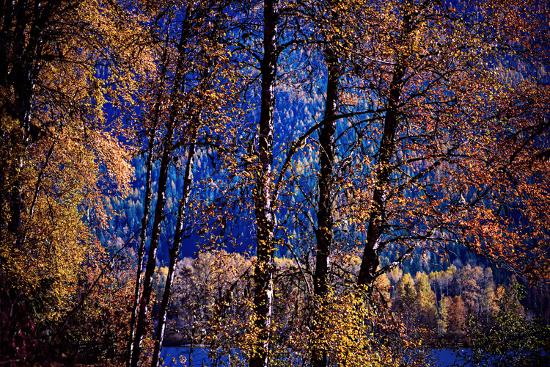 Premium Photographic Print, , large
