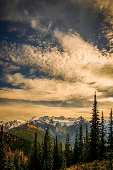 Photographic Print, , large