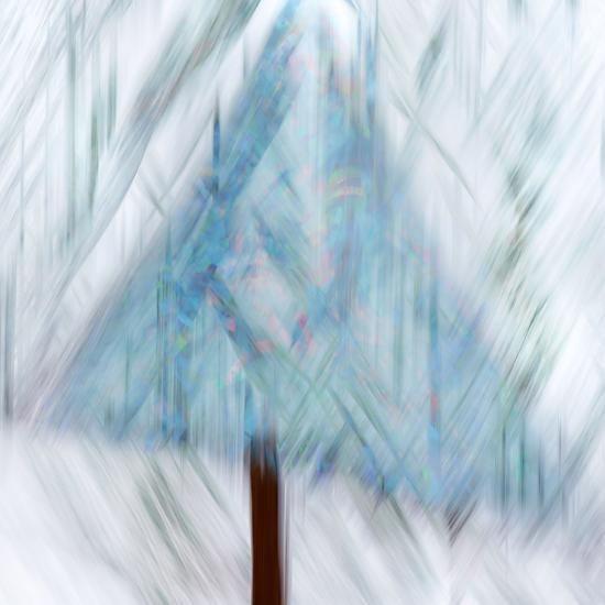 Photographic Print, , large