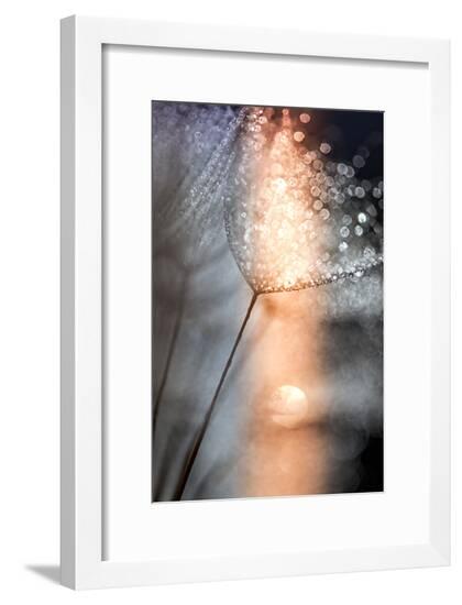 Framed Photographic Print, , large