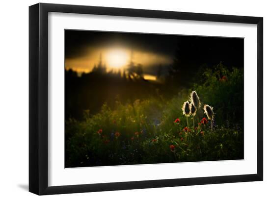 Premium Photographic Print, , large
