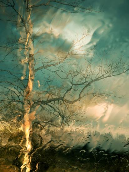 Photographic Print, , large