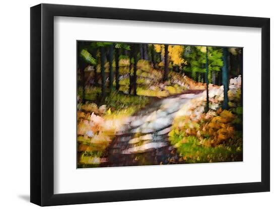 Photographic Print, , large