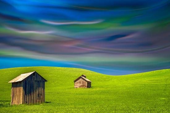 Photographic Print, , large