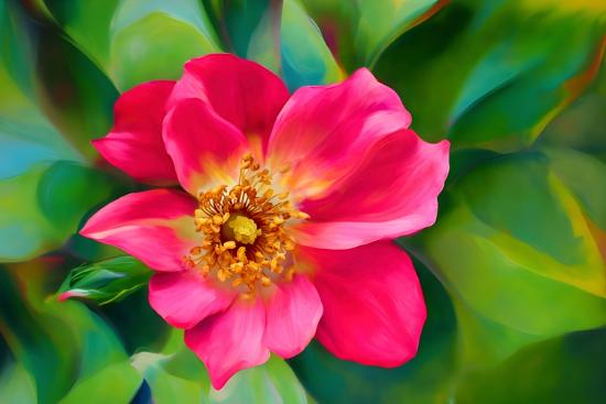 Premium Photographic Print, , large
