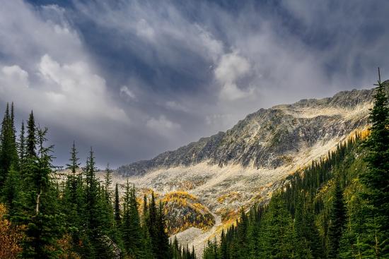 Premium Photographic Print, , large