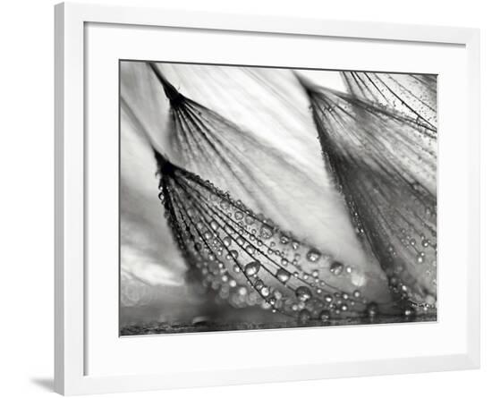 Framed Photographic Print, , large
