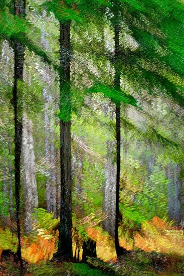 Photographic Print, , large