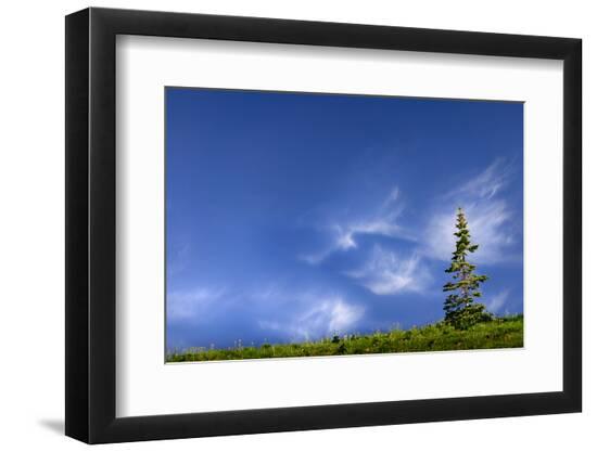 Premium Photographic Print, , large