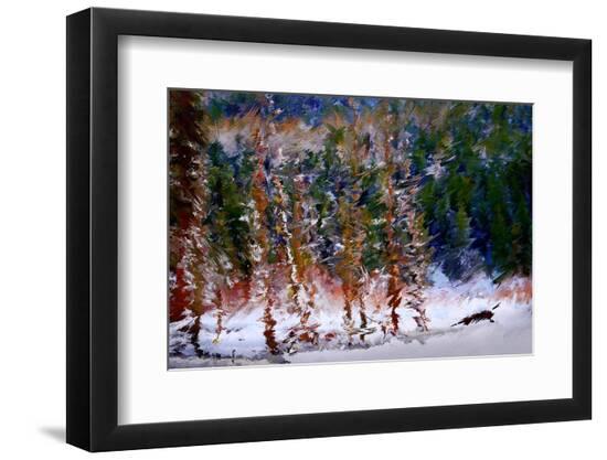 Photographic Print, , large