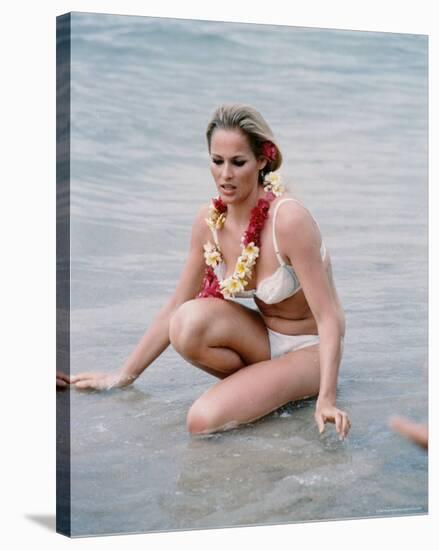 Ursula Andress-null-Stretched Canvas