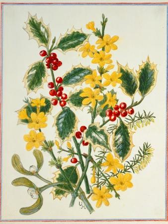 Holly, Winter Jasmine, Heath and Mistletoe