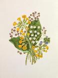 Holly, Winter Jasmine, Heath and Mistletoe-Ursula Hodgson-Stretched Canvas