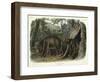 Ursus Americanus, Var. Cinnamonum (Cinnamon Bear), Plate 127 from 'Quadrupeds of North America',…-John Woodhouse Audubon-Framed Giclee Print