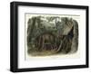 Ursus Americanus, Var. Cinnamonum (Cinnamon Bear), Plate 127 from 'Quadrupeds of North America',…-John Woodhouse Audubon-Framed Giclee Print