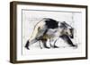 Ursus Maritimus, 1999-Mark Adlington-Framed Giclee Print