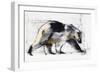 Ursus Maritimus, 1999-Mark Adlington-Framed Giclee Print