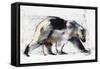 Ursus Maritimus, 1999-Mark Adlington-Framed Stretched Canvas