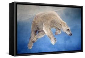 Ursus maritimus 2-Odile Kidd-Framed Stretched Canvas