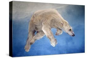 Ursus maritimus 2-Odile Kidd-Stretched Canvas