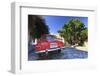 Uruguay, Colonia Del Sacramento (Unesco World Heritage Site)-Michele Falzone-Framed Photographic Print