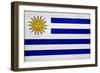 Uruguay Flag Design with Wood Patterning - Flags of the World Series-Philippe Hugonnard-Framed Art Print