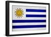Uruguay Flag Design with Wood Patterning - Flags of the World Series-Philippe Hugonnard-Framed Premium Giclee Print
