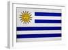 Uruguay Flag Design with Wood Patterning - Flags of the World Series-Philippe Hugonnard-Framed Premium Giclee Print