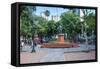 Uruguay Square in Asuncion, Paraguay, South America-Michael Runkel-Framed Stretched Canvas