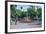 Uruguay Square in Asuncion, Paraguay, South America-Michael Runkel-Framed Photographic Print