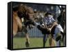 Uruguayan Gaucho, or Cowboy, Falls from a Horse During a Rodeo in Montevideo-null-Framed Stretched Canvas