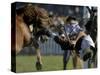 Uruguayan Gaucho, or Cowboy, Falls from a Horse During a Rodeo in Montevideo-null-Stretched Canvas