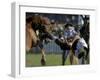 Uruguayan Gaucho, or Cowboy, Falls from a Horse During a Rodeo in Montevideo-null-Framed Photographic Print