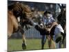 Uruguayan Gaucho, or Cowboy, Falls from a Horse During a Rodeo in Montevideo-null-Mounted Photographic Print
