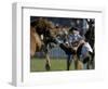 Uruguayan Gaucho, or Cowboy, Falls from a Horse During a Rodeo in Montevideo-null-Framed Photographic Print