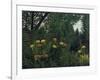 Urwald Mit Tiger Und Jaegern, um 1907-Henri Rousseau-Framed Giclee Print