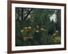 Urwald Mit Tiger Und Jaegern, um 1907-Henri Rousseau-Framed Giclee Print