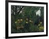 Urwald Mit Tiger Und Jaegern, um 1907-Henri Rousseau-Framed Giclee Print