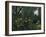 Urwald Mit Tiger Und Jaegern, um 1907-Henri Rousseau-Framed Giclee Print