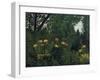 Urwald Mit Tiger Und Jaegern, um 1907-Henri Rousseau-Framed Giclee Print