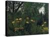 Urwald Mit Tiger Und Jaegern, um 1907-Henri Rousseau-Stretched Canvas